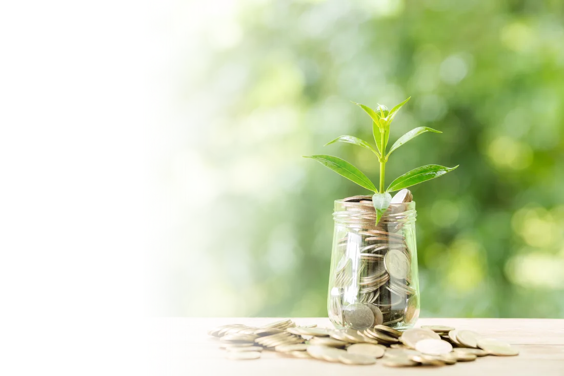 Ahorro y crecimiento constante como independiente afiliado a TIMI